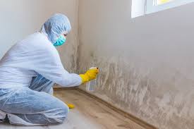 Environmental Consulting for Mold Prevention in North Tunica, MS